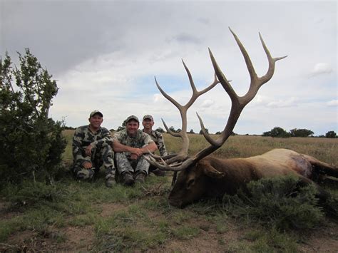 Elk Hunting in Arizona’s Unit 9: A Guide to the Best Hunting Areas.